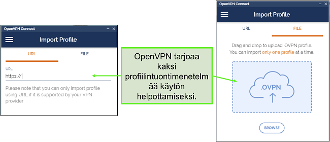 Näyttökuva kahdesta tapasta, joilla voit tuoda palvelinprofiileja OpenVPN-käyttöliittymään.