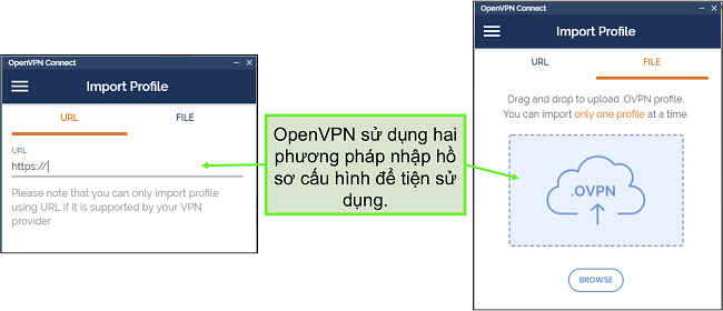 Ảnh chụp màn hình về hai cách bạn có thể nhập cấu hình máy chủ vào giao diện người dùng OpenVPN.