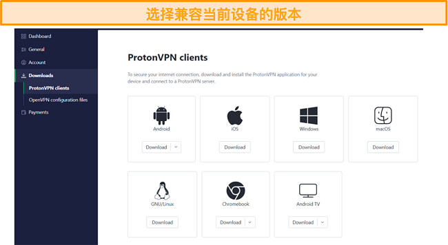 ProtonVPN 兼容设备下载页面的屏幕截图