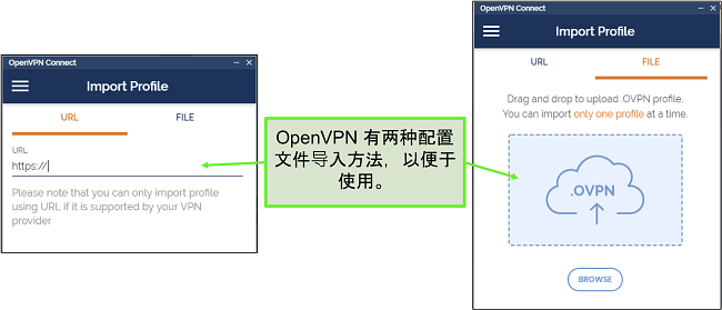将服务器配置文件导入 OpenVPN UI 的两种方式的屏幕截图。