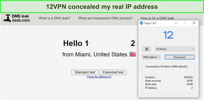 Screening of 12VPN passing DNS leak test