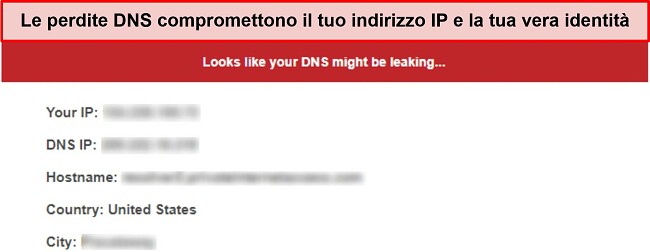 Screenshot di un test di tenuta DNS che segnala una perdita