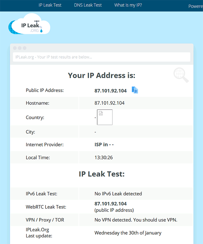 IP Address Leak Test