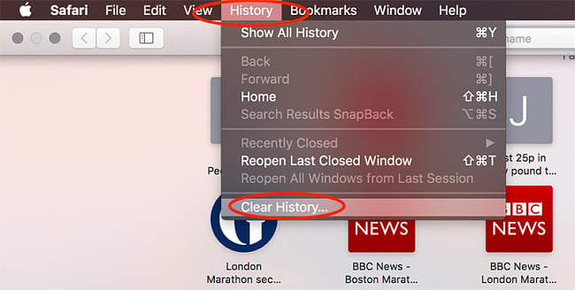 Safari MacOS clear history