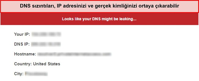 Sızıntı bildiren bir DNS sızıntı testinin ekran görüntüsü