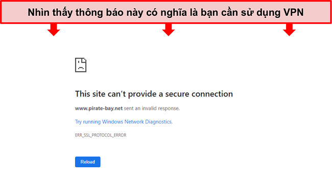 Ảnh chụp màn hình thông báo lỗi khi cố gắng truy cập Pirate Bay mà không có VPN