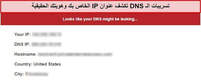 لقطة شاشة لاختبار تسرب DNS يُبلغ عن حدوث تسريب