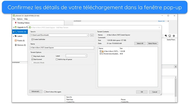 Capture d'écran de la fenêtre contextuelle des détails du téléchargement sur uTorrent