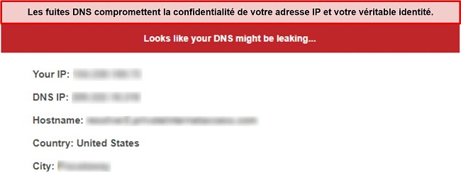 Capture d'écran d'un test de fuite DNS signalant une fuite