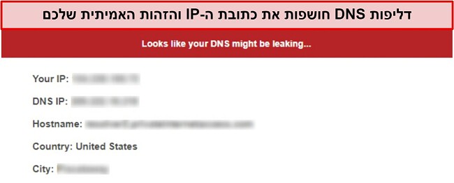צילום מסך של בדיקת דליפת DNS המדווחת על דליפה