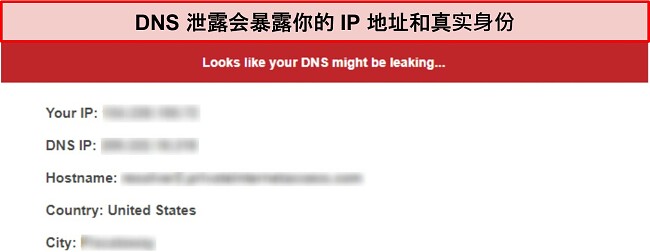 报告泄漏的 DNS 泄漏测试的屏幕截图