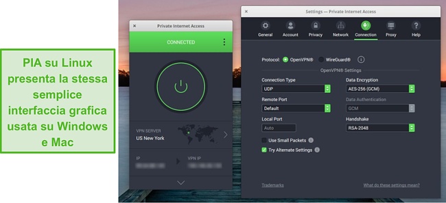 Screenshot dell'interfaccia utente grafica di PIA su Linux.
