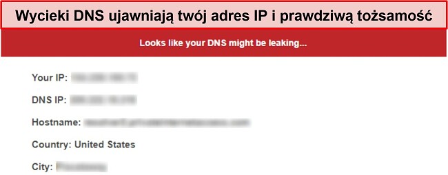 Zrzut ekranu testu szczelności DNS zgłaszającego wyciek