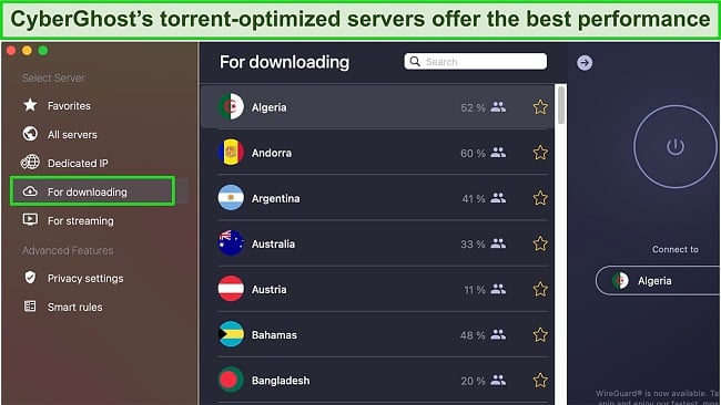 Screenshot of CyberGhost's torrent-optimized servers
