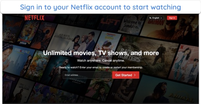 Screenshot of Netflix's sign in page