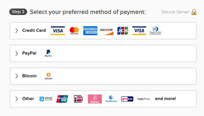 Captura de pantalla de las diversas opciones de pago de ExpressVPN