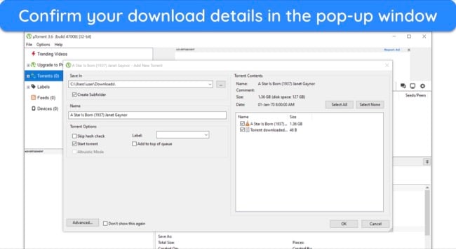 Screenshot of download details pop-up window on uTorrent