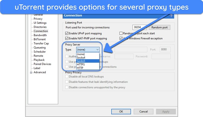 Screenshot of proxy options on uTorrent client