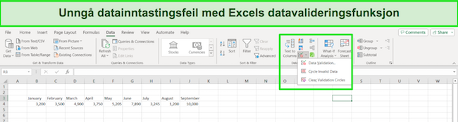 Skjermbilde for Excel 365 unngå datainntastingsfeil