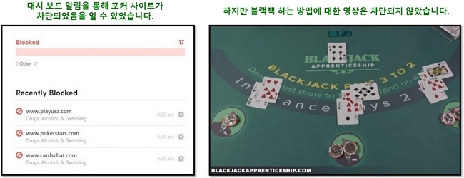 Bark 웹 필터가 작동합니까?