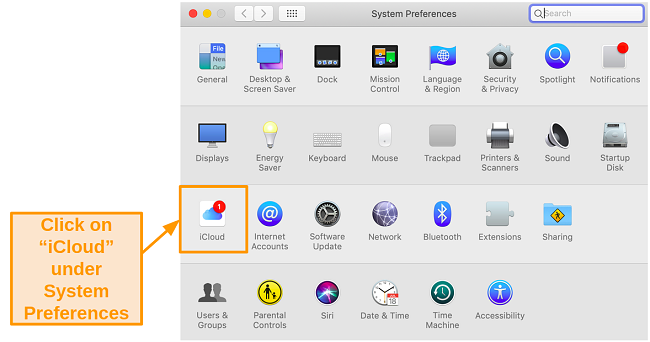 creenshot of System Preferences on Mac with Mojave.