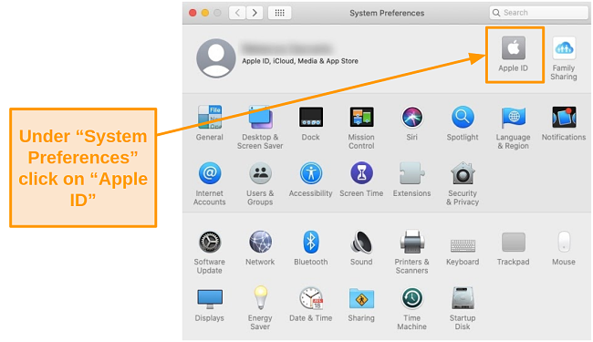 Screenshot of the Apple ID option under System Preferences on the Catalina operating system.