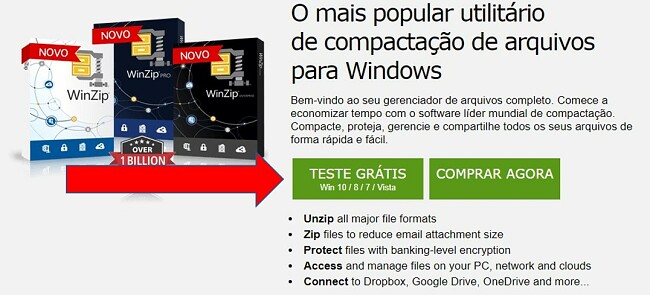 Página de download do WinZip
