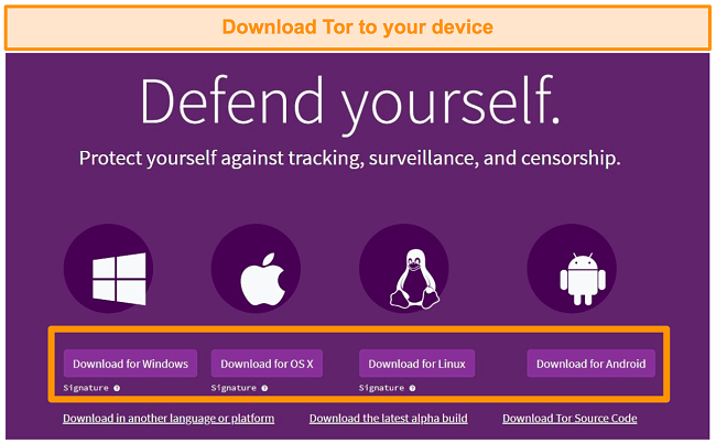 tor expert bundle setup tor expert bundle setup