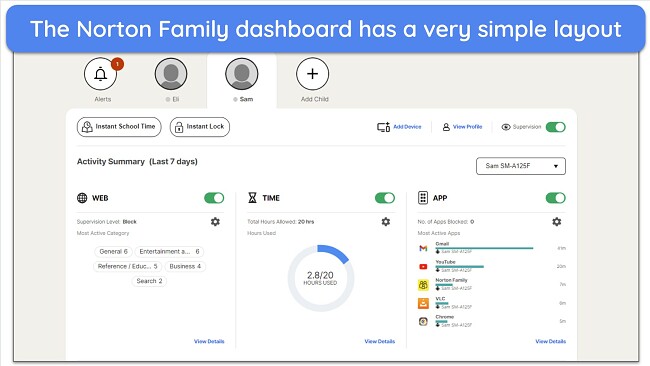 Screenshot of Norton Family's activity tracking feature