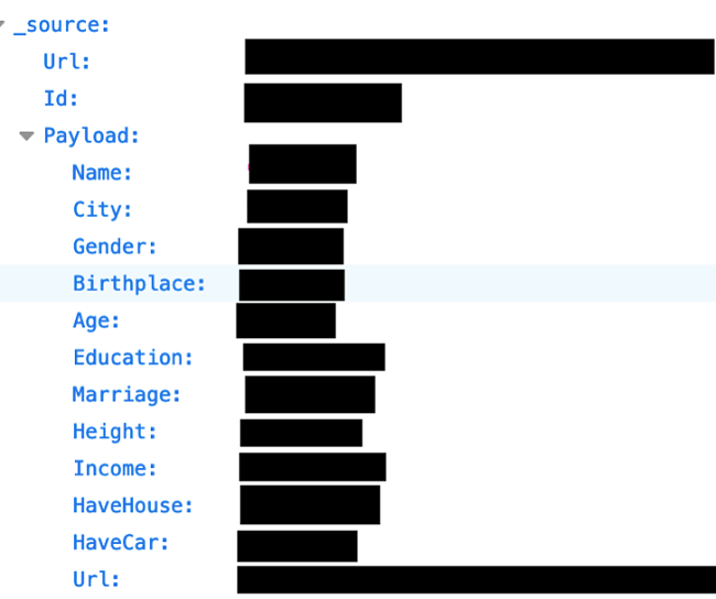 Screenshot of redacted leak data sample