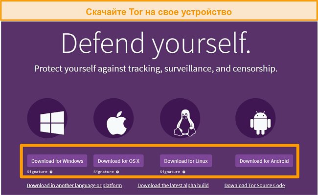 Download tor browser на русском языке mega тор браузер закон рф mega2web