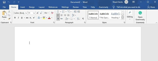 captura de pantalla del panel de trabajo de MS Word