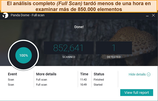 Captura de pantalla del escaneo completo de Panda.