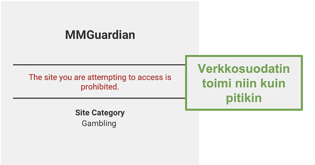 Näyttökuva web-suodattimesta, joka toimi mainostettuna