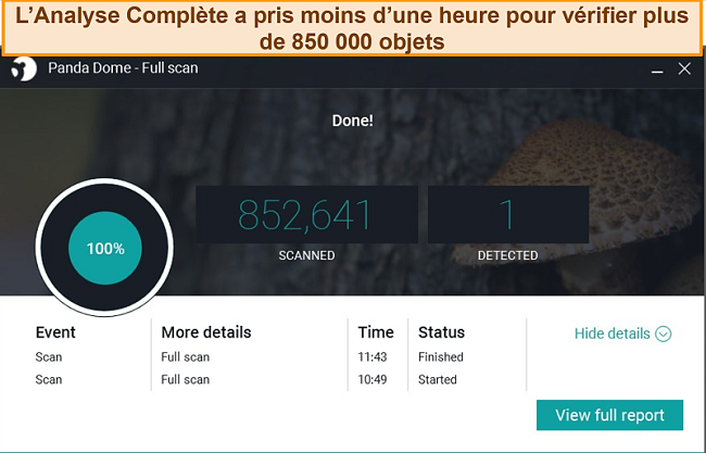 Capture d'écran de l'analyse complète de Panda.