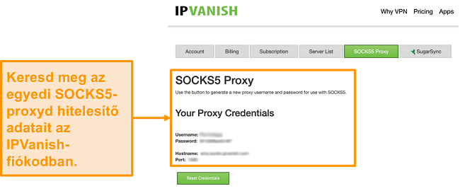 Képernyőkép az IPVanish ingyenes SOCKS5 proxy szerverhitelesítő adatairól a webhelyen