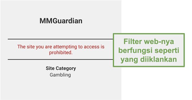 Tangkapan layar filter web yang berfungsi seperti yang diiklankan