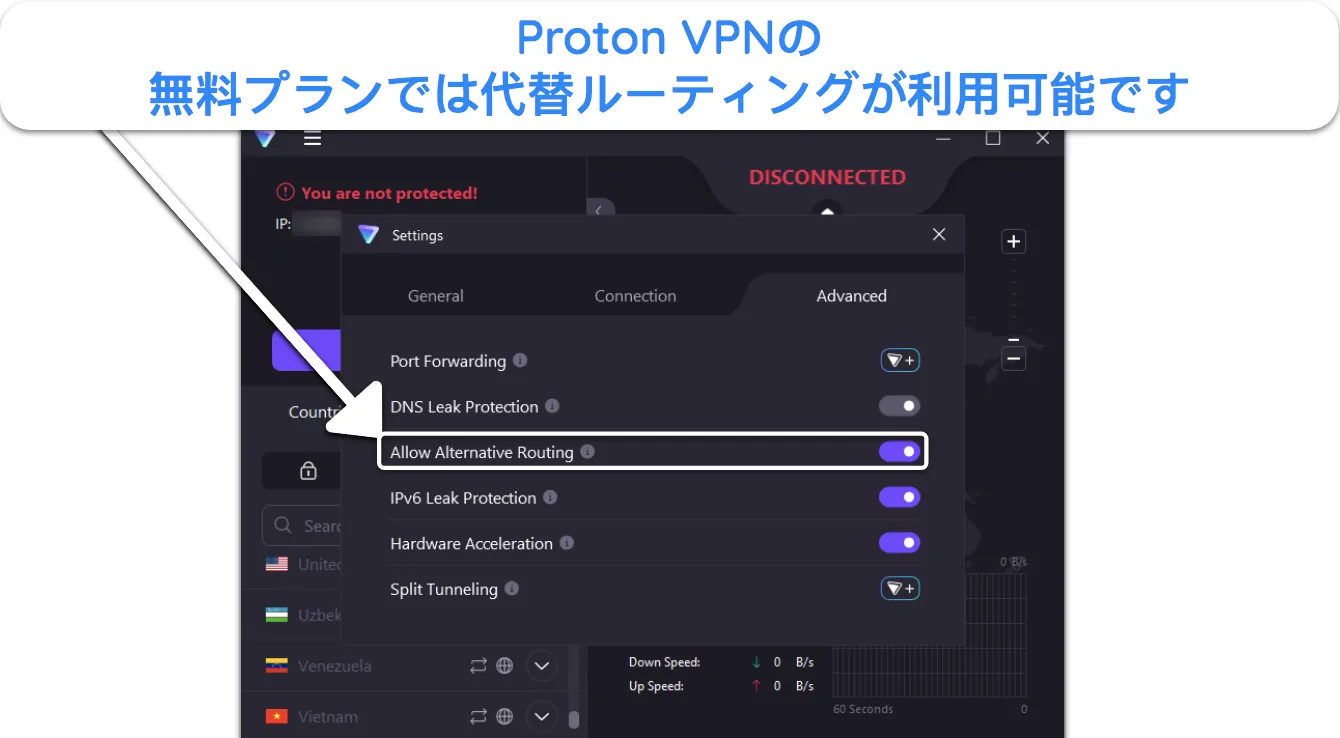 無料プランで利用できる Proton VPN の代替ルーティング機能を示すスクリーンショット。