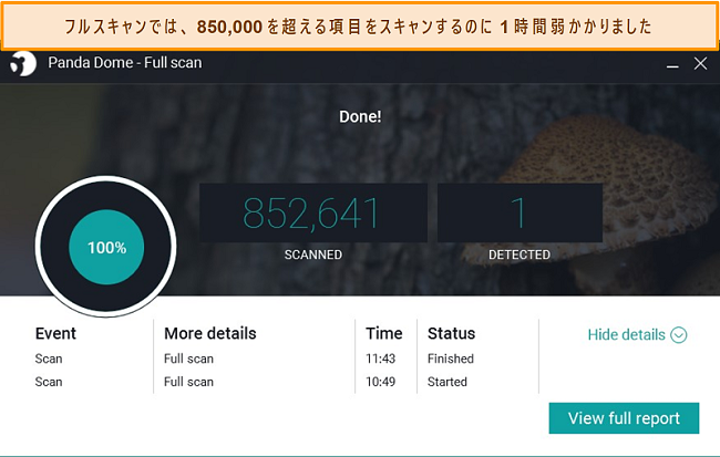 パンダの完了したフルスキャンのスクリーンショット。