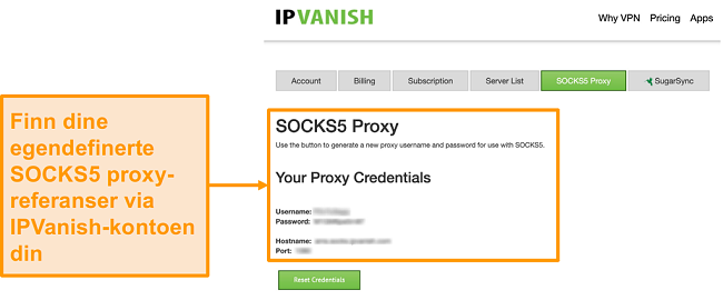 Skjermbilde av IPVanishs gratis SOCKS5-proxy-serveropplysninger på nettstedet