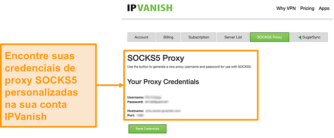 Captura de tela das credenciais gratuitas de servidor proxy SOCKS5 da IPVanish no site