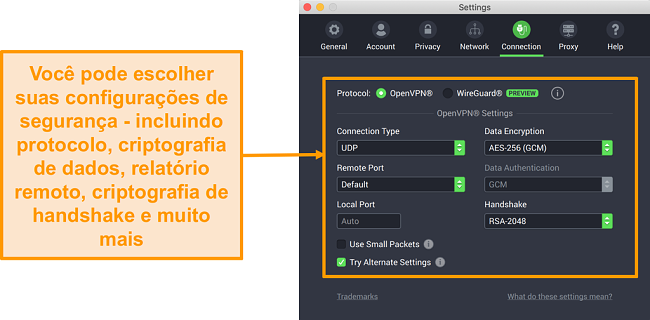Captura de tela da VPN de acesso à Internet privada e seu aplicativo para Mac, exibindo as opções de personalização da guia Conexão