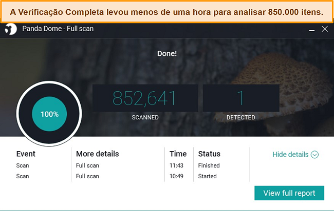 Captura de tela da verificação completa do Panda.