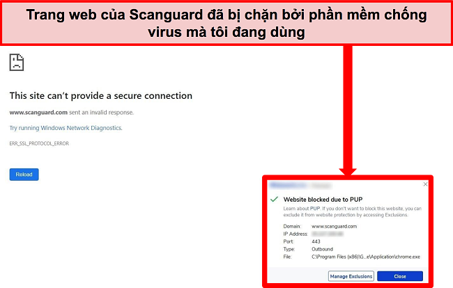 Ảnh chụp màn hình phần mềm chống vi-rút chặn trang web của Scanguard do PUP.