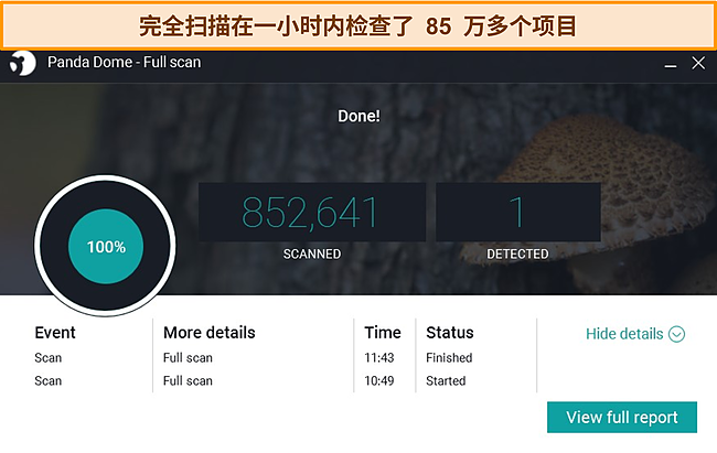 Panda 完成的完整扫描的屏幕截图。