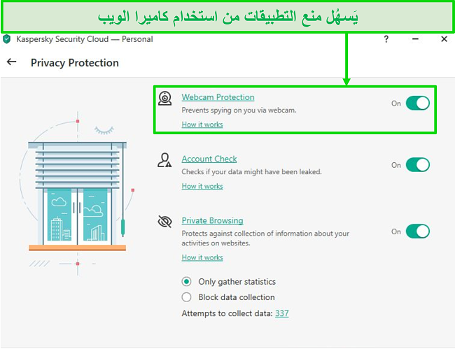لقطة شاشة لخيارات حماية خصوصية سطح المكتب من Kaspersky