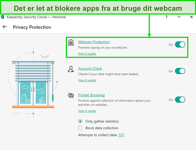 Skærmbillede af indstillinger for beskyttelse af privatlivets fred fra Kaspersky desktop