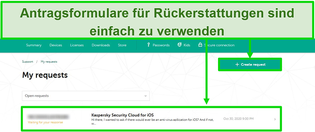 Screenshot der Support-Anfragen von Kaspersky auf der Kaspersky-Website.