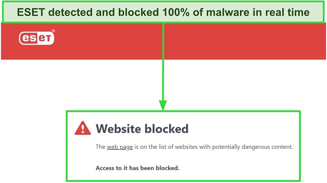 Screenshot of ESET antivirus blocking potentially dangerous websites