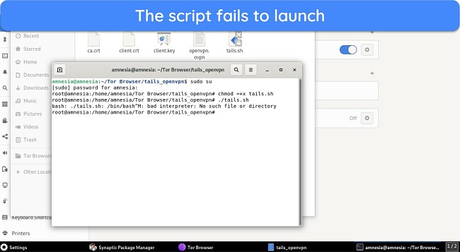  Screenshot showing the VPN script failing to launch from the terminal